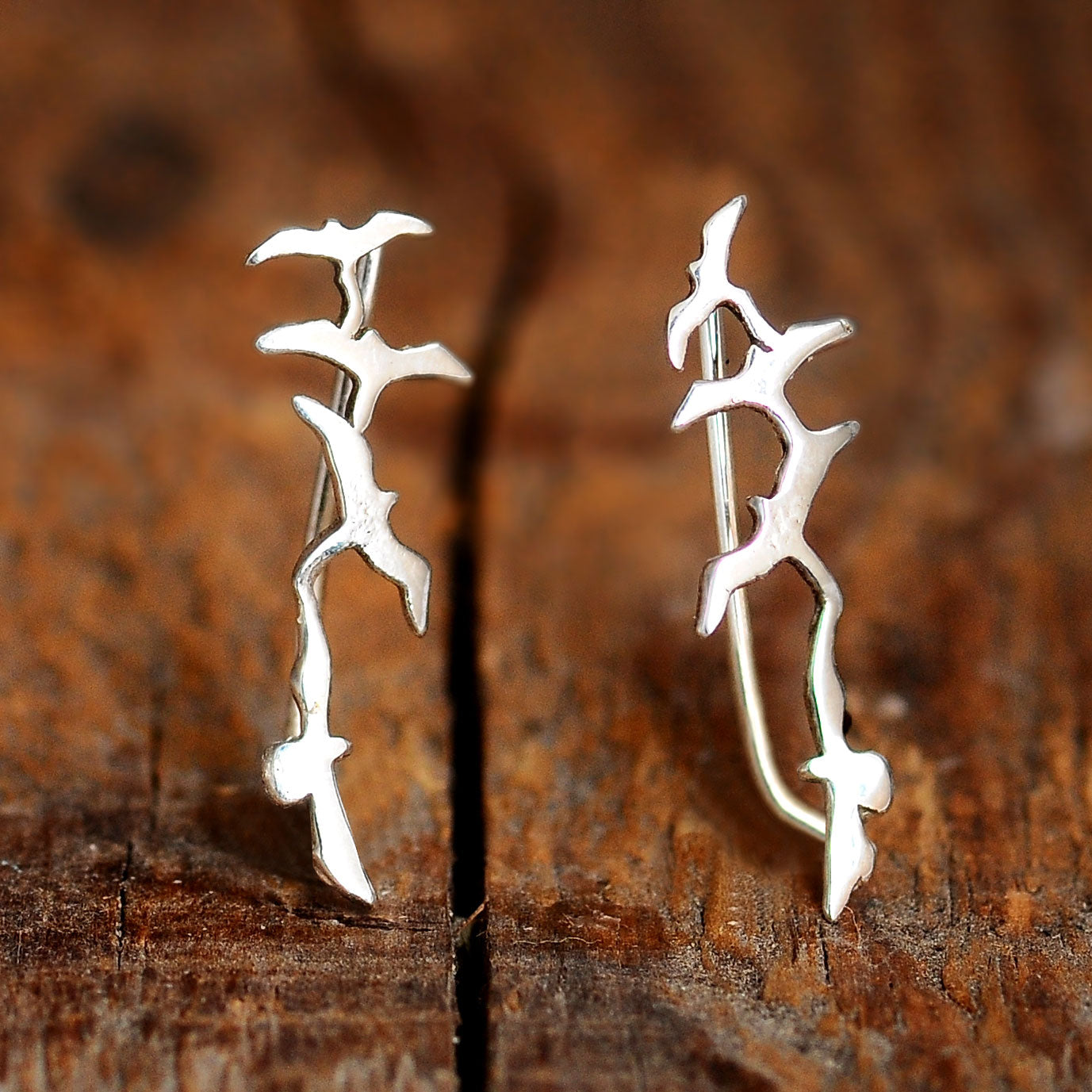 Silver Birds Earrings