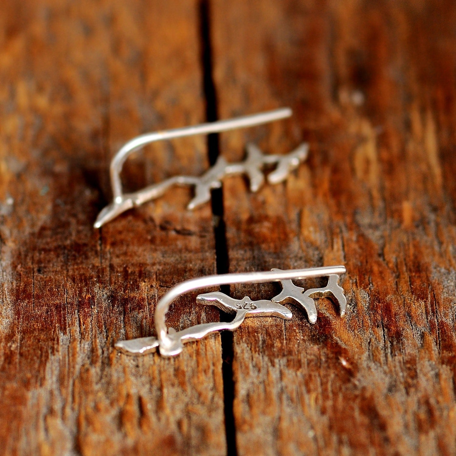 Silver Birds Earrings